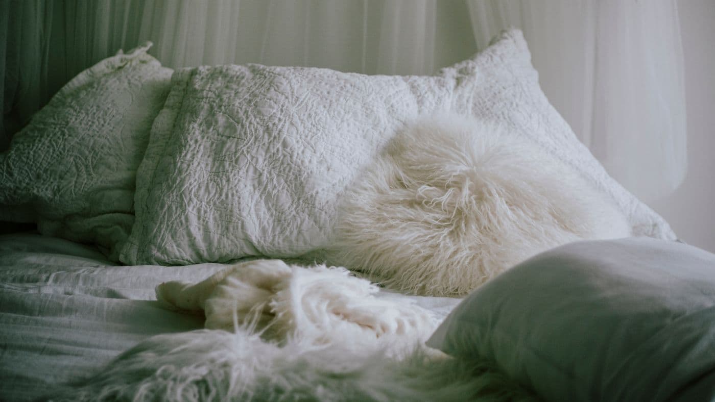 Fluffy white pillows on a cozy bed